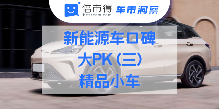 新能源车口碑大PK (三)：精品小车